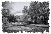 /album/fotogaleria-fotografia-infraroig/f-5-inpixio-640x480-jpg/